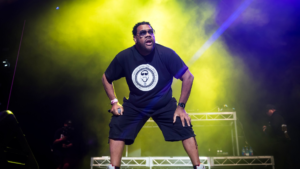 Fatman Scoop Cause of Death Revealed After Collapse on Stage 